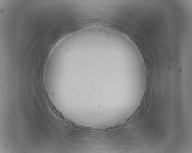 X0000066080579200603171033