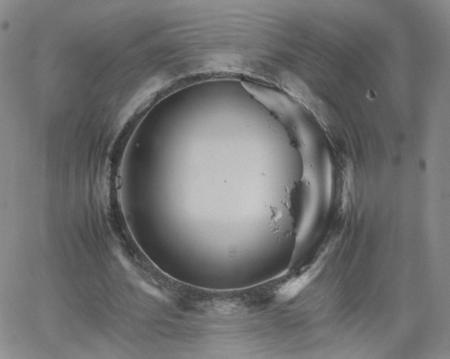 X0000066080580200603171033