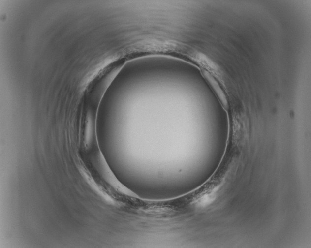 X0000066080581200603171032