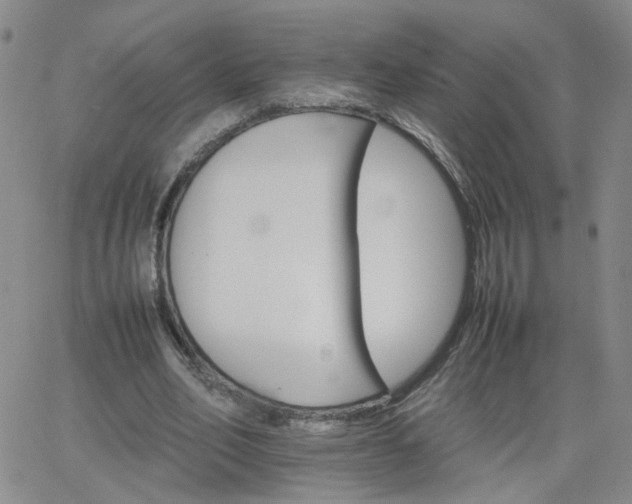 X0000066080582200603171032