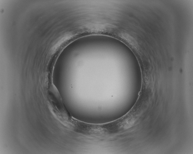 X0000066080583200603171032