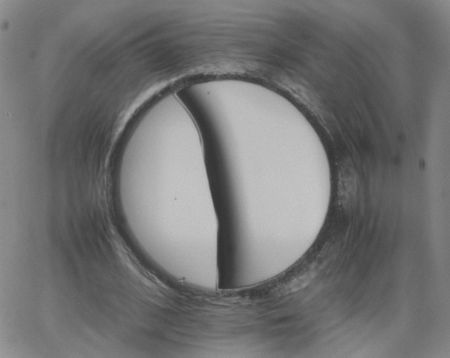 X0000066080584200603171032