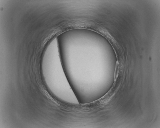 X0000066080585200603171032