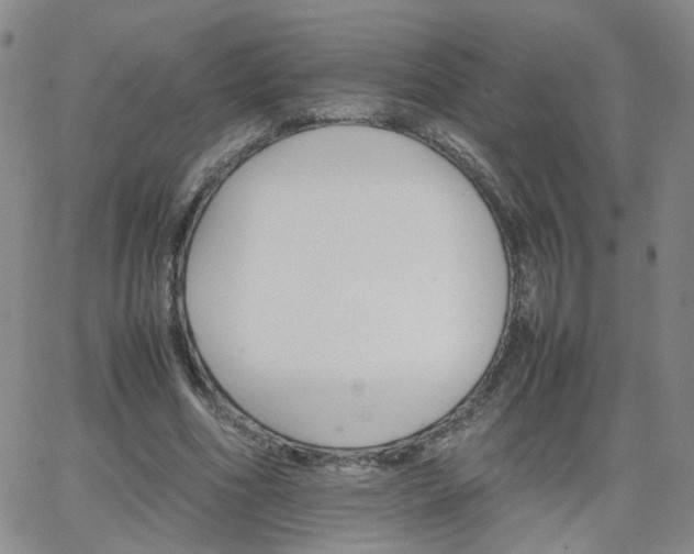 X0000066080586200603171032