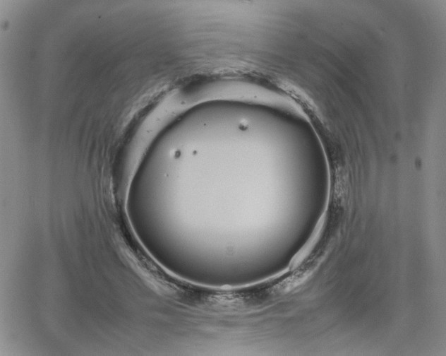 X0000066080589200603171032