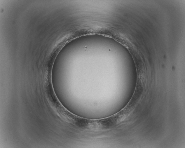 X0000066080591200603171032