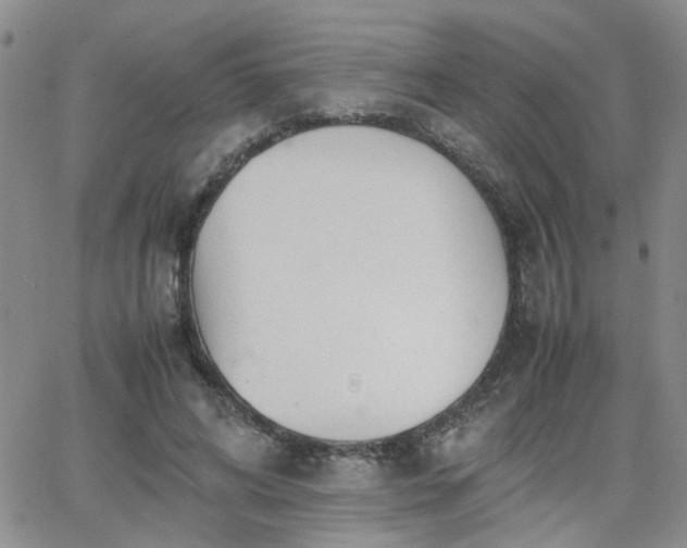 X0000066080592200603171032