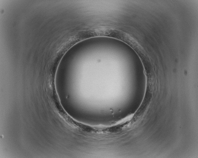 X0000066080593200603171032