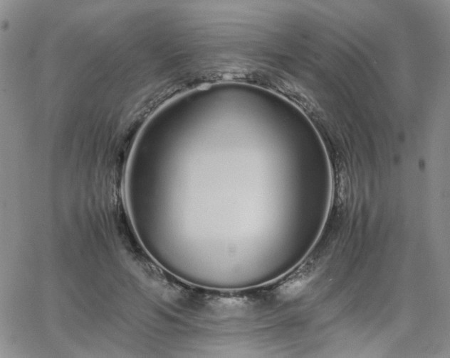 X0000066080594200603171032