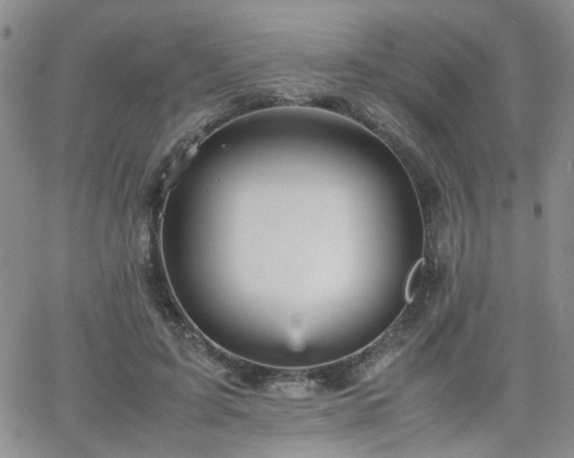 X0000066080595200603171032