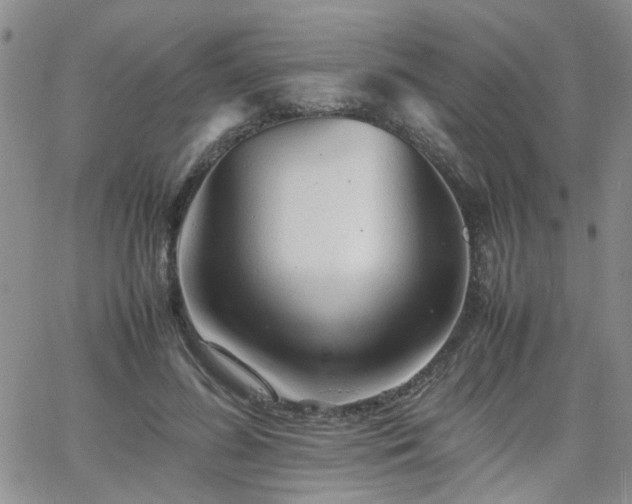 X0000066080596200603171032