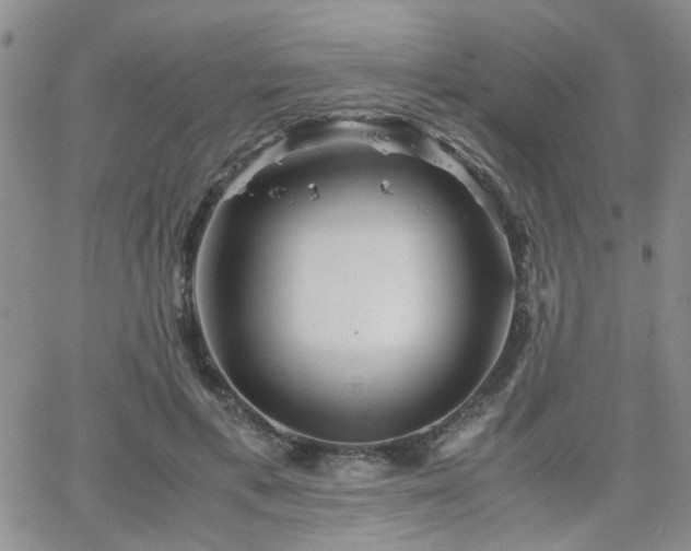 X0000066080597200603171032