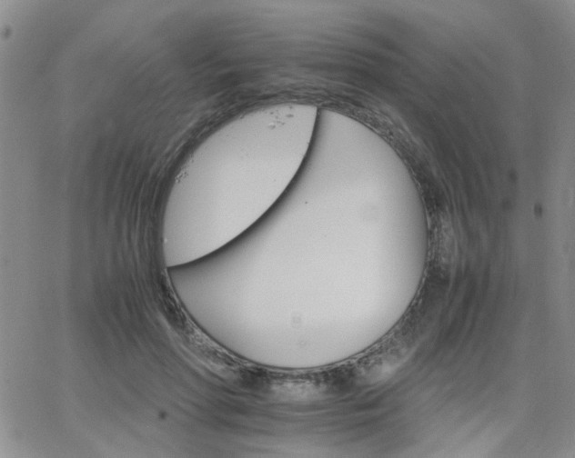 X0000066080598200603171032