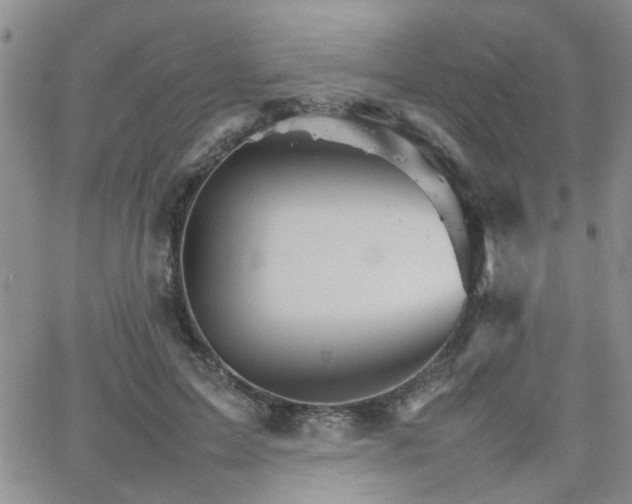 X0000066080599200603171032