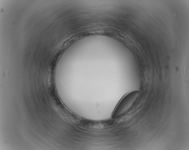 X0000066080600200603171032