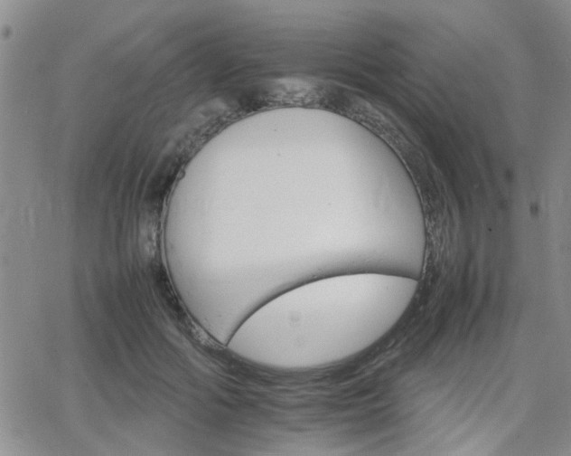 X0000066080602200603171032