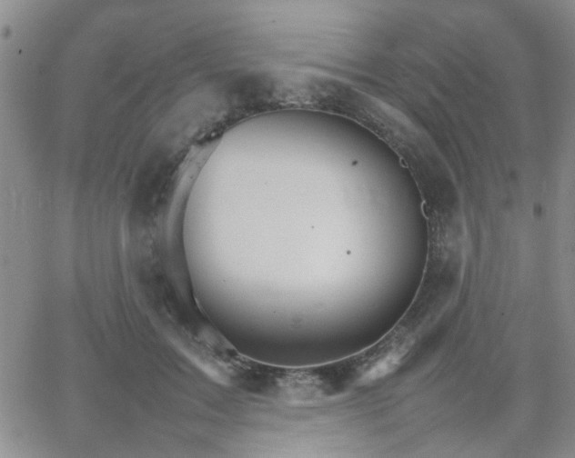 X0000066080603200603171032