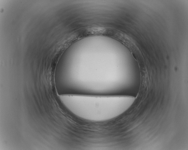 X0000066080604200603171032