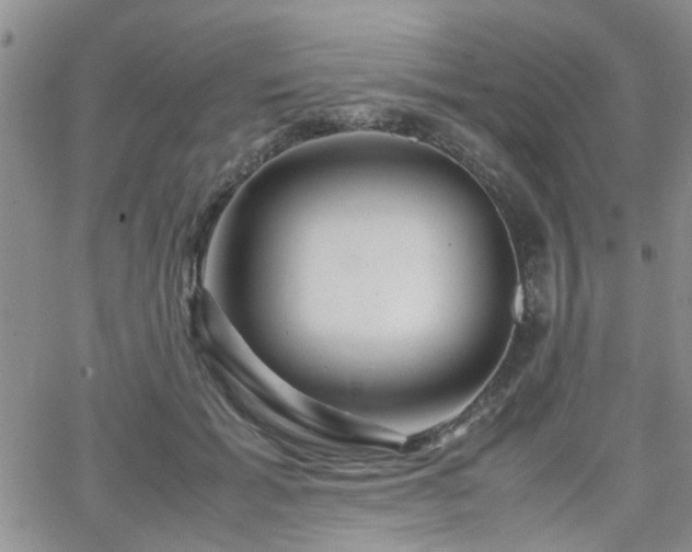 X0000066080605200603171032