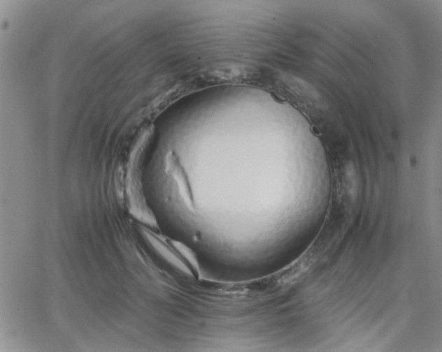 X0000066080606200603171032