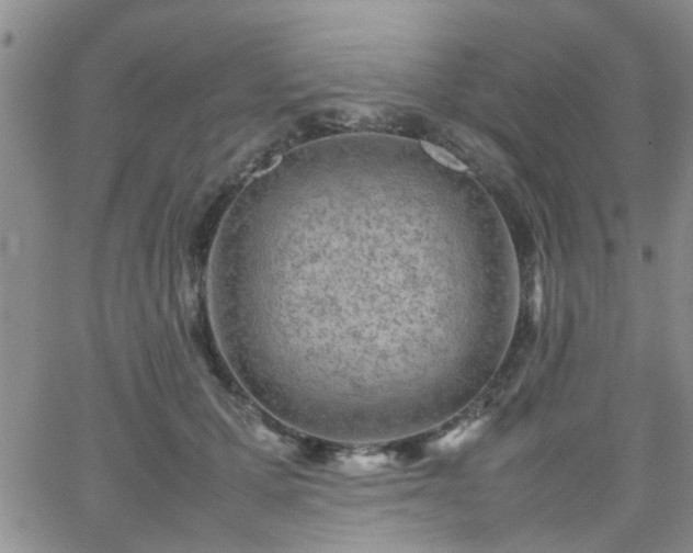 X0000066080607200603171032