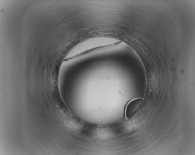 X0000066080608200603171032