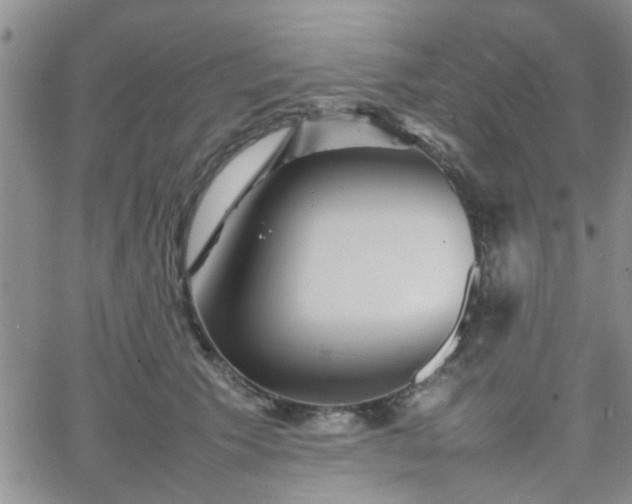 X0000066080609200603171032