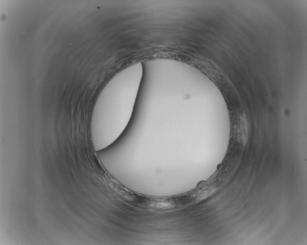 X0000066080610200603171032