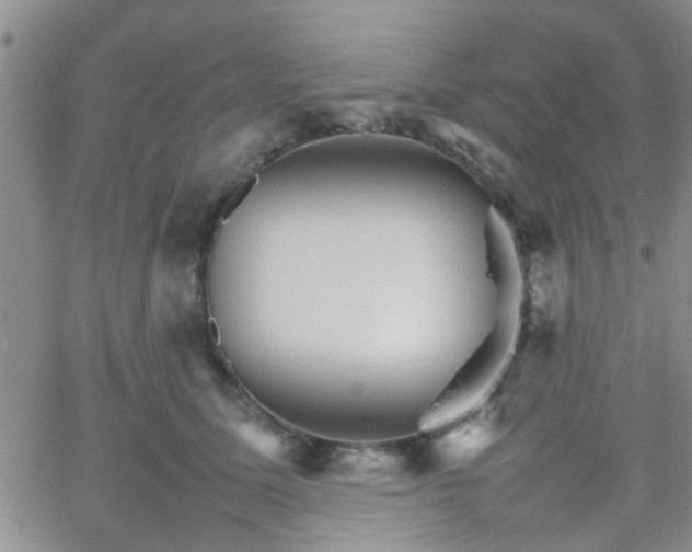 X0000066080611200603171032