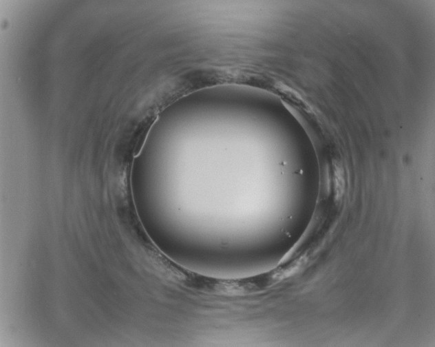 X0000066080613200603171032