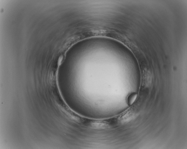 X0000066080614200603171032