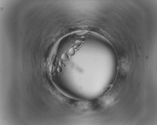 X0000066080615200603171032