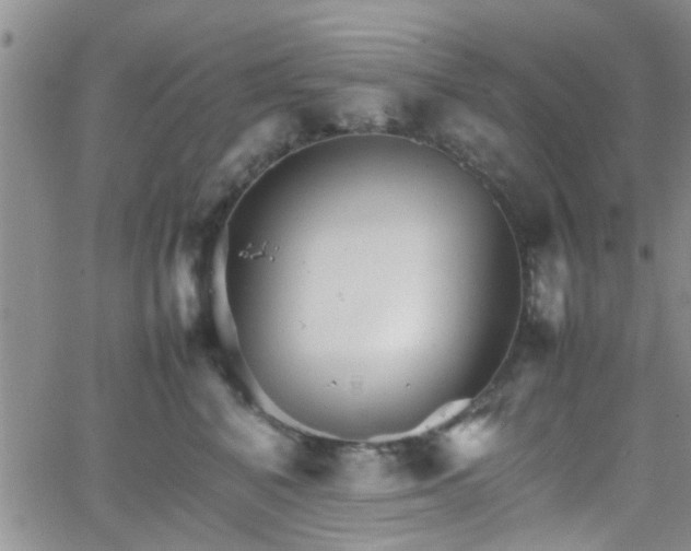 X0000066080616200603171032