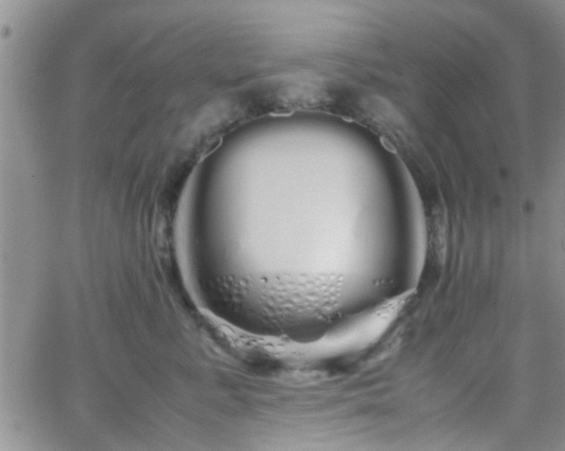 X0000066080619200603171032