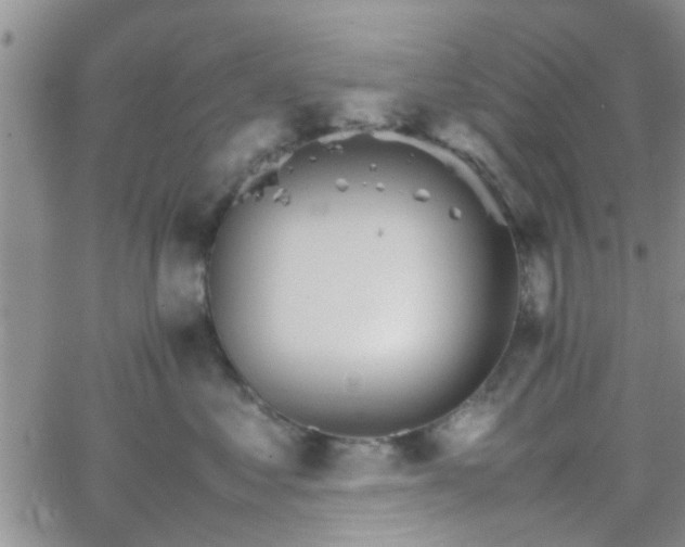 X0000066080621200603171032