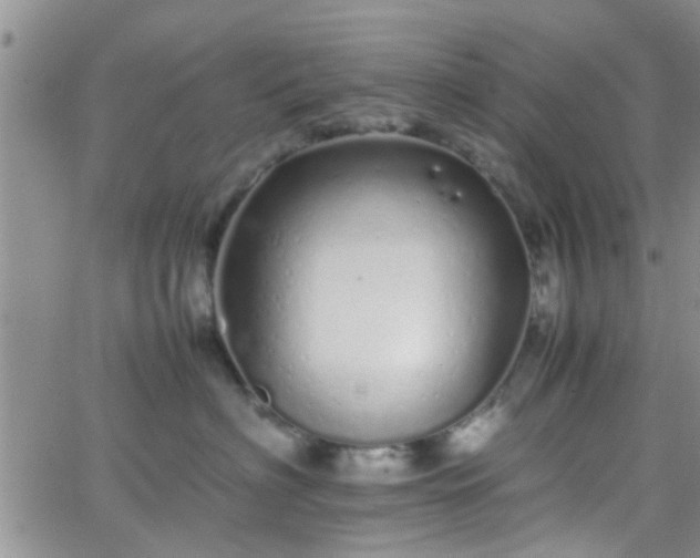 X0000066080622200603171032