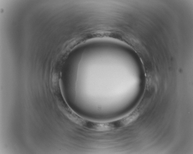 X0000066080623200603171032