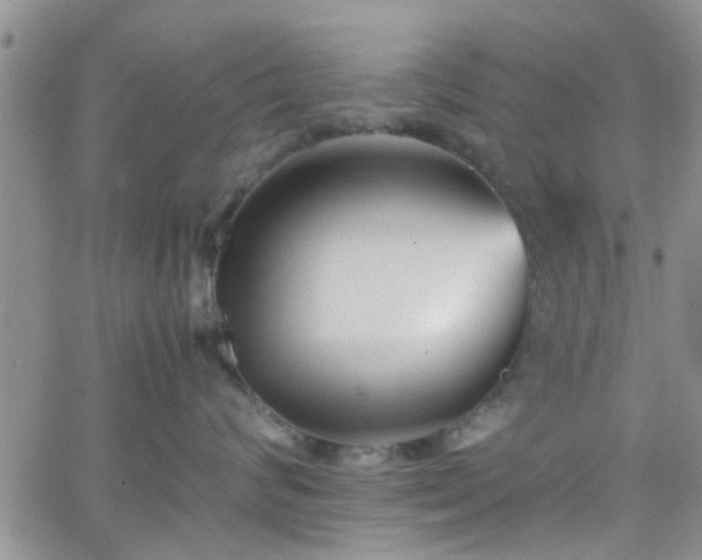 X0000066080624200603171032