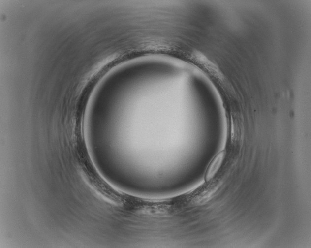 X0000066080627200603171031