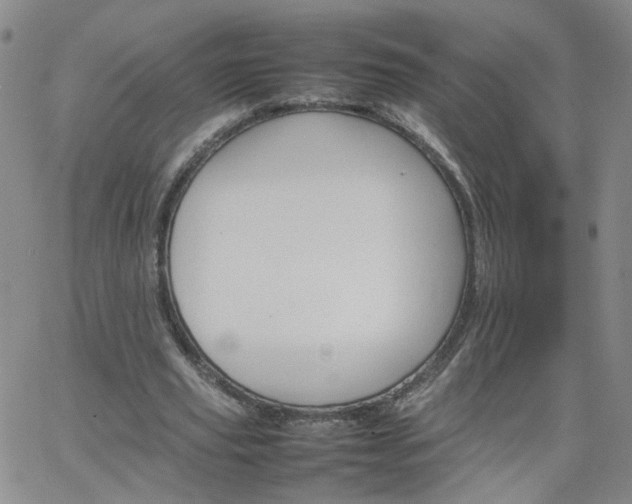 X0000066080629200603171031