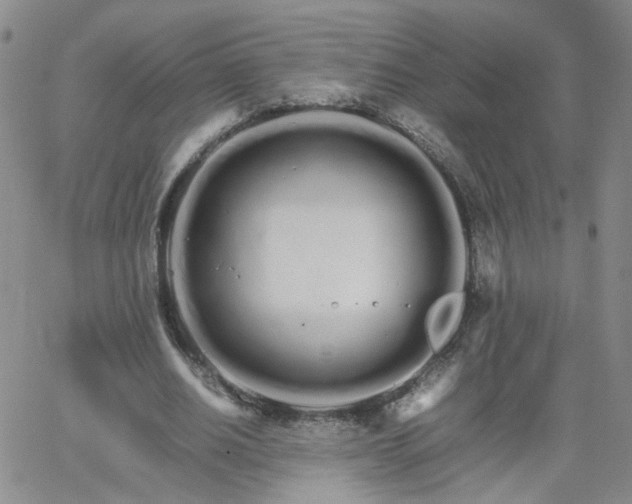 X0000066080630200603171031