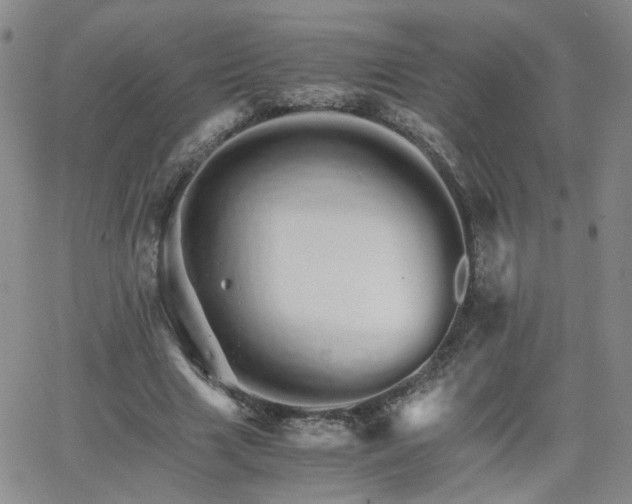 X0000066080633200603171031