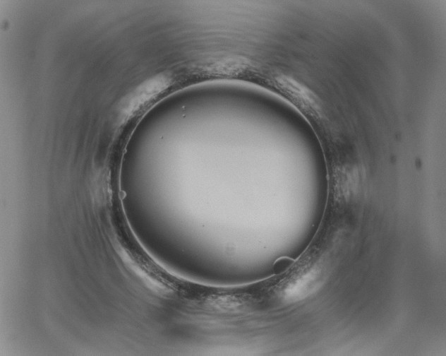 X0000066080634200603171031