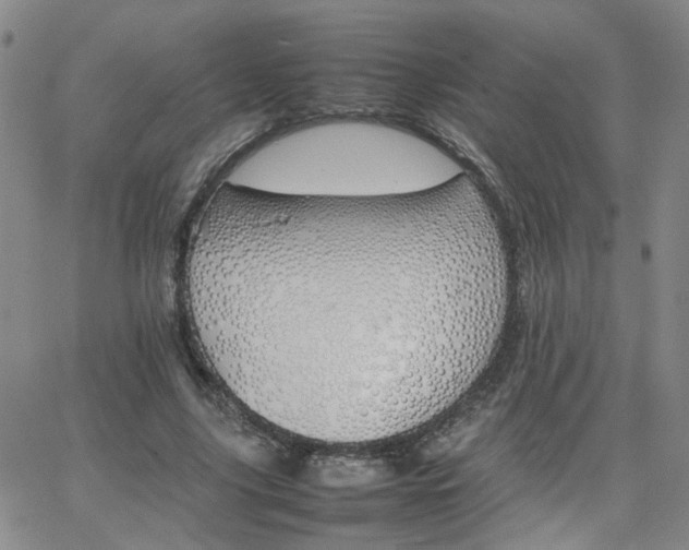 X0000066080635200603171031