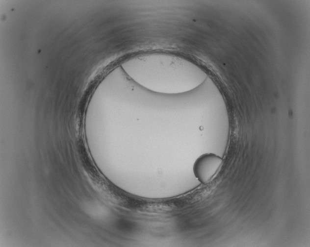 X0000066080636200603171031