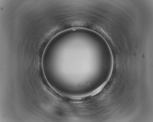 X0000066080637200603171031