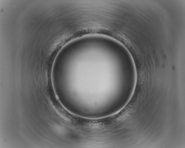 X0000066080638200603171031