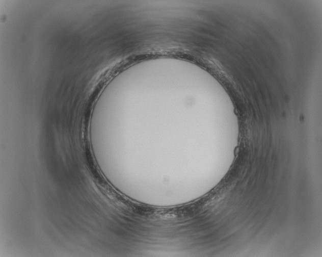 X0000066080640200603171031