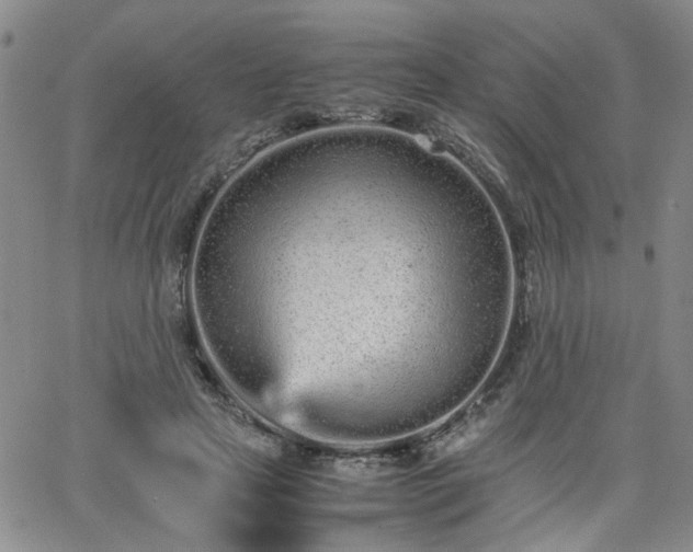 X0000066080641200603171031