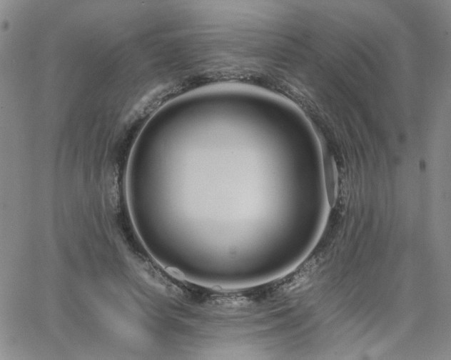 X0000066080642200603171031